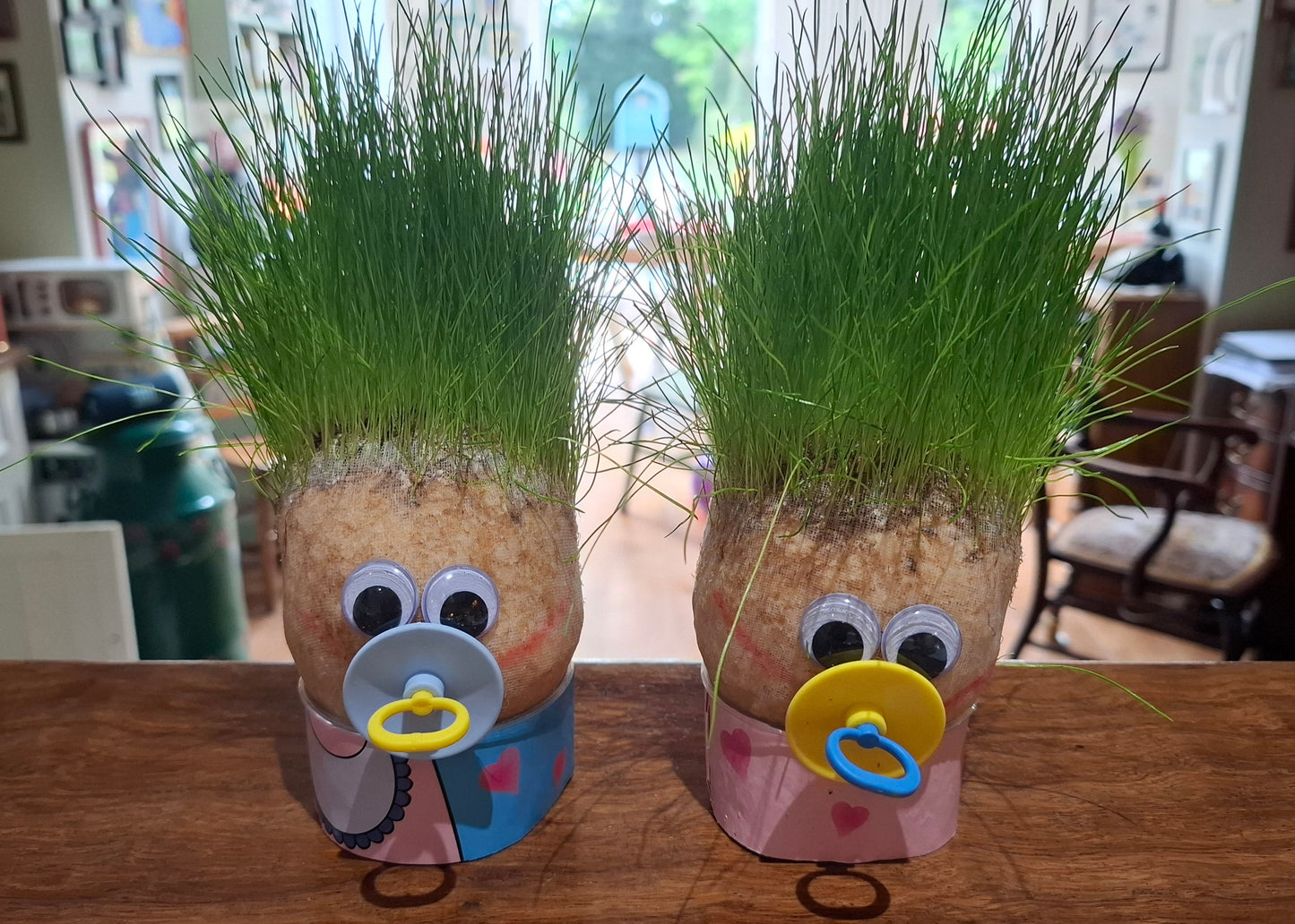 Mr. Bart Grass Heads