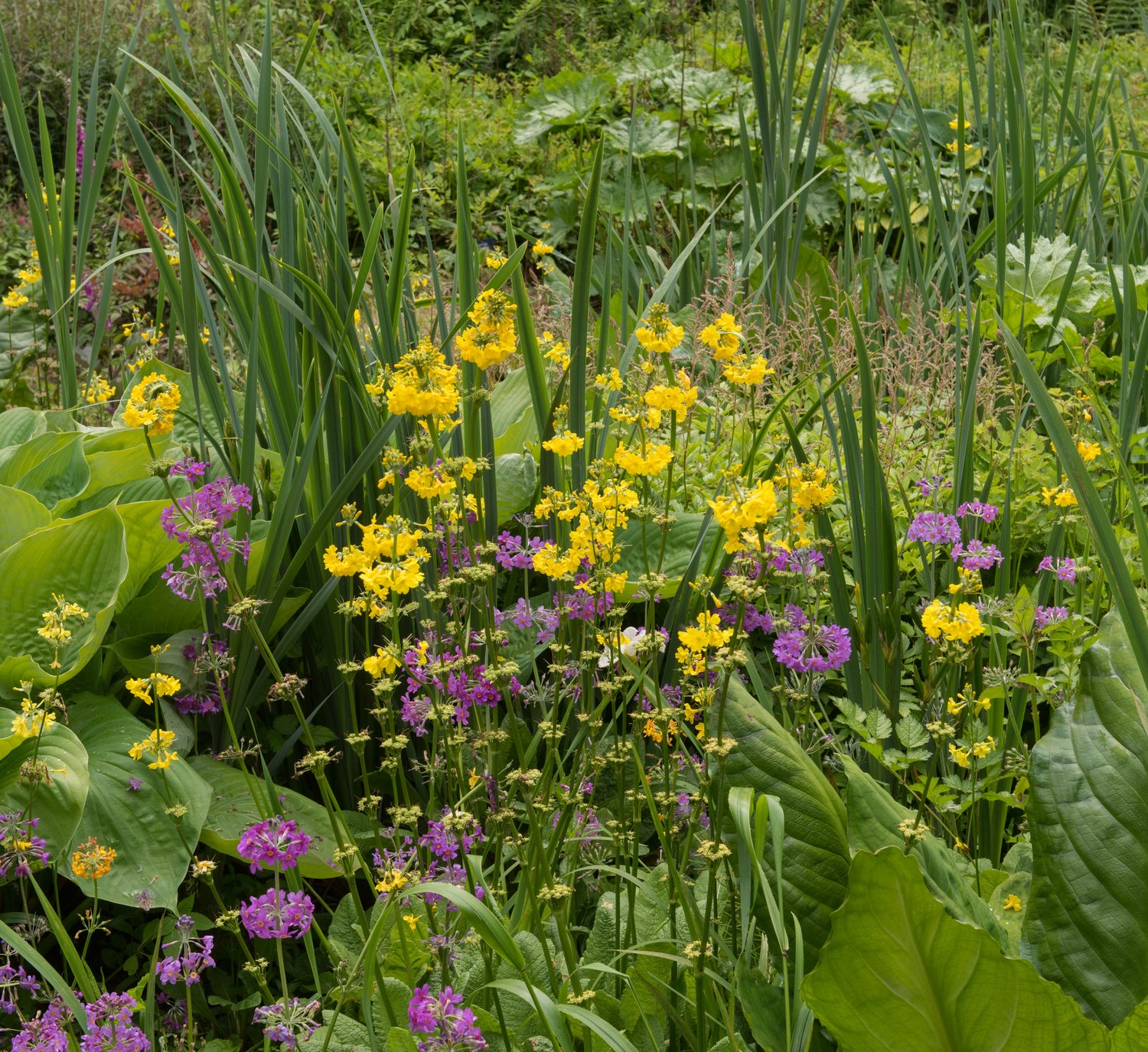 Stuck in the Trenches